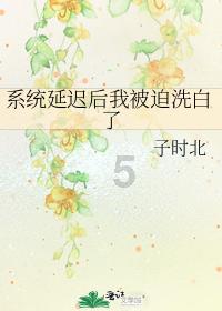 北魏孝文帝庙号是什么?-专业问答平台